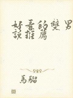 好看的双男主小说推荐