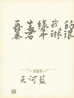 再生缘我的温柔暴君年琳琅