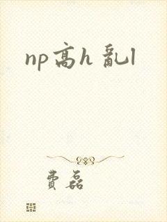 np高h 乱l