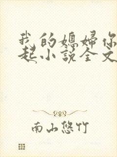 我的媳妇你惹不起小说全文阅读