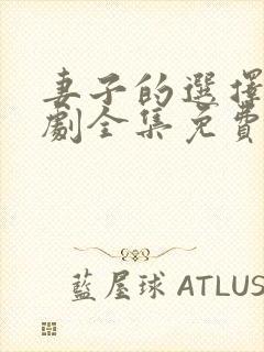 妻子的选择电视剧全集免费观看