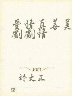 爱情真善美电视剧剧情