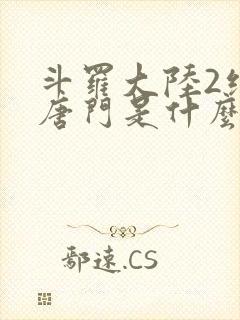 斗罗大陆2绝世唐门是什么