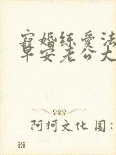 宠婚练爱法则 早安老公大人