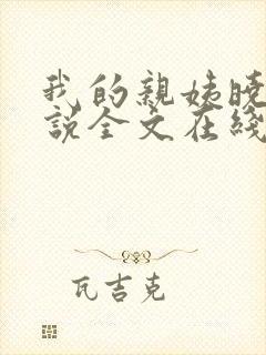 我的亲姨晓峰小说全文在线