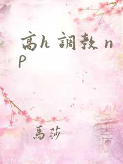 高h 调教 np
