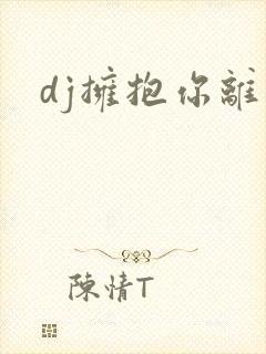 dj拥抱你离去