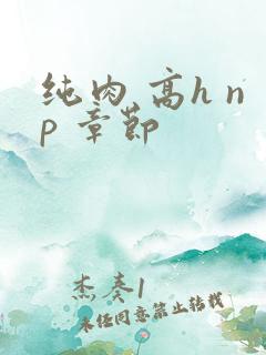 纯肉 高h np 章节