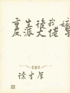 重生后我嫁给了反派大佬 星如银