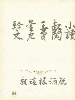 干爹王叔小说全文免费阅读最新章节