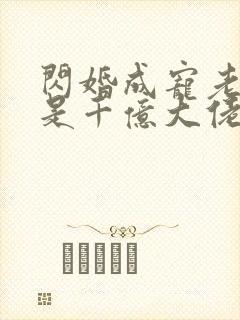 闪婚成宠老公竟是千亿大佬小说