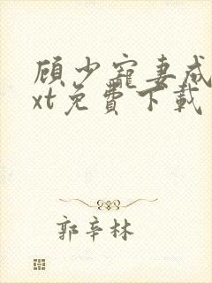 顾少宠妻成瘾txt免费下载