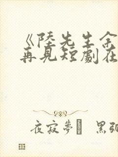 《陆先生余生不再见短剧在线观看