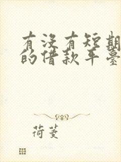 有没有短期周转的借款平台