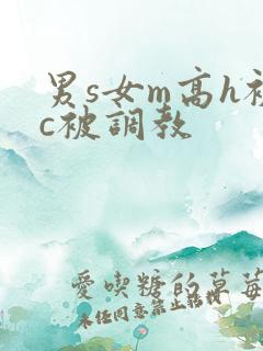 男s女m高h被c被调教