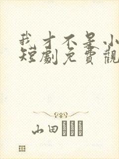 我才不是小可怜短剧免费观看全集