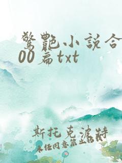 惊艳小说合集500篇txt