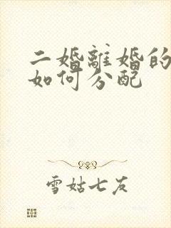 二婚离婚的财产如何分配