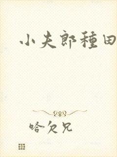小夫郎种田文