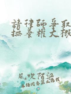 请律师争取孩子抚养权大概要多少钱