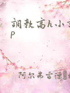 调教高h小说np