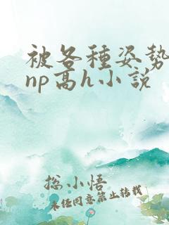 被各种姿势玩弄np高h小说