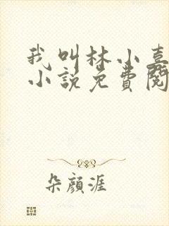 我叫林小喜全文小说免费阅读