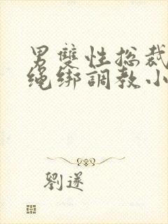 男双性总裁奴被绳绑调教小说