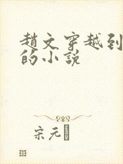 赵文穿越到明朝的小说