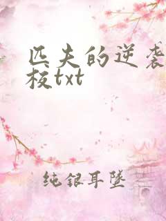 匹夫的逆袭骁骑校txt