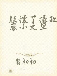 朕怀了摄政王的崽小文旦