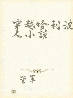 穿越哈利波特同人小说