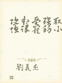 攻对受强取豪夺但很宠的小说