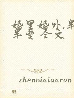婚里婚外,半欢半爱 全文