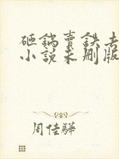 砸锅卖铁去上学小说未删版