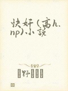快奸 (高h.np)小说