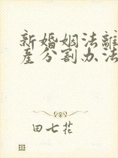 新婚姻法离婚财产分割办法