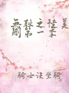 无耻之徒美版无删第一季