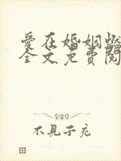 爱在婚姻燃尽时全文免费阅读