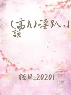 (高h)淫趴小说