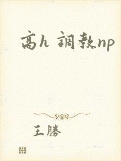 高h 调教np