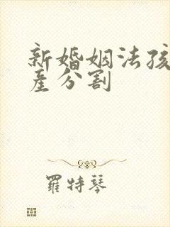 新婚姻法孩子财产分割