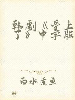 韩剧《爱上老板了》中字版