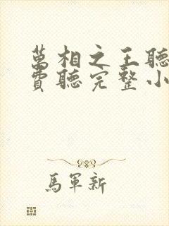 万相之王听书免费听完整小说