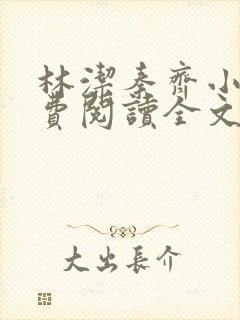 林洁秦齐小说免费阅读全文最新章节