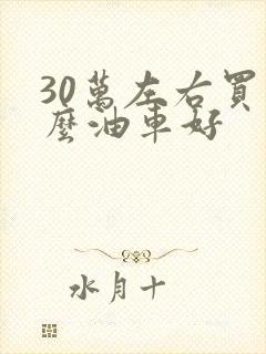 30万左右买什么油车好