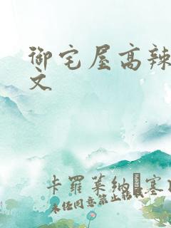 御宅屋高辣甜宠文