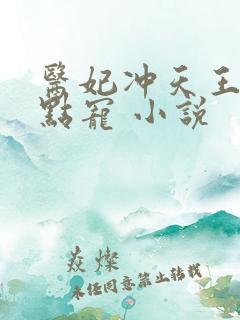 医妃冲天王爷轻点宠 小说