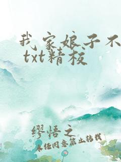 我家娘子不对劲 txt精校