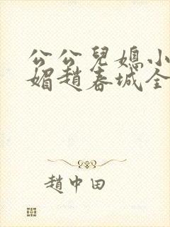 公公儿媳小说苏媚赵春城全文阅读